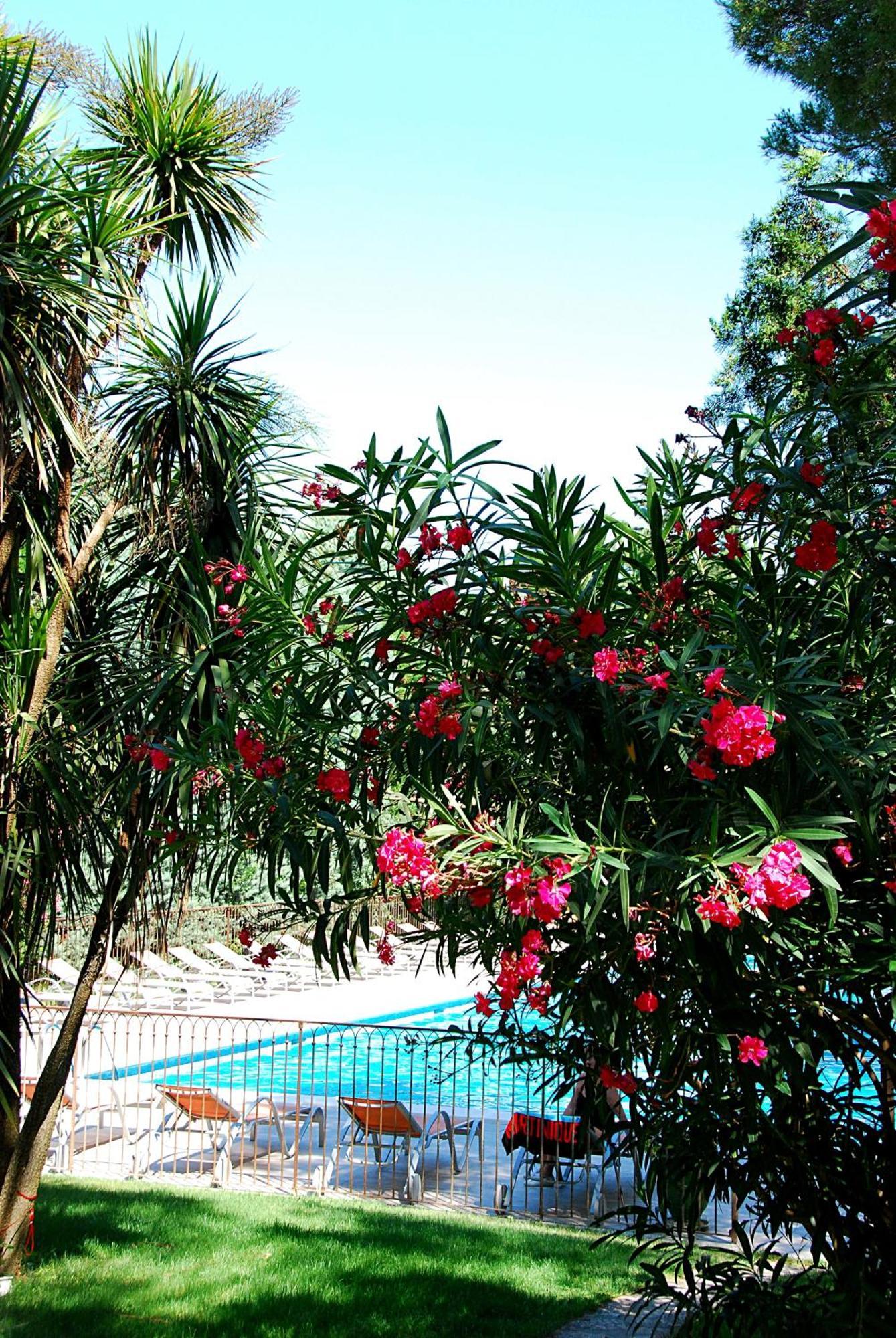 Hotel Les Mazets Des Roches Tarascon Bagian luar foto